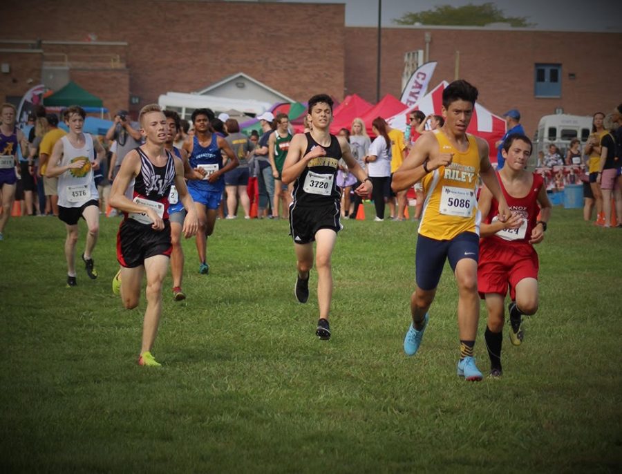 Cross Country Runs At New Prairie Invitational Panther Press