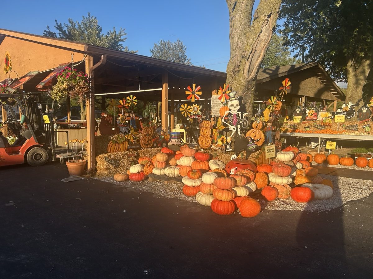 Pumpkins and autumn decorations line the perimeter of Scheeringa Farms in celebration of the fall harvest, where activities are offered for children of all ages.